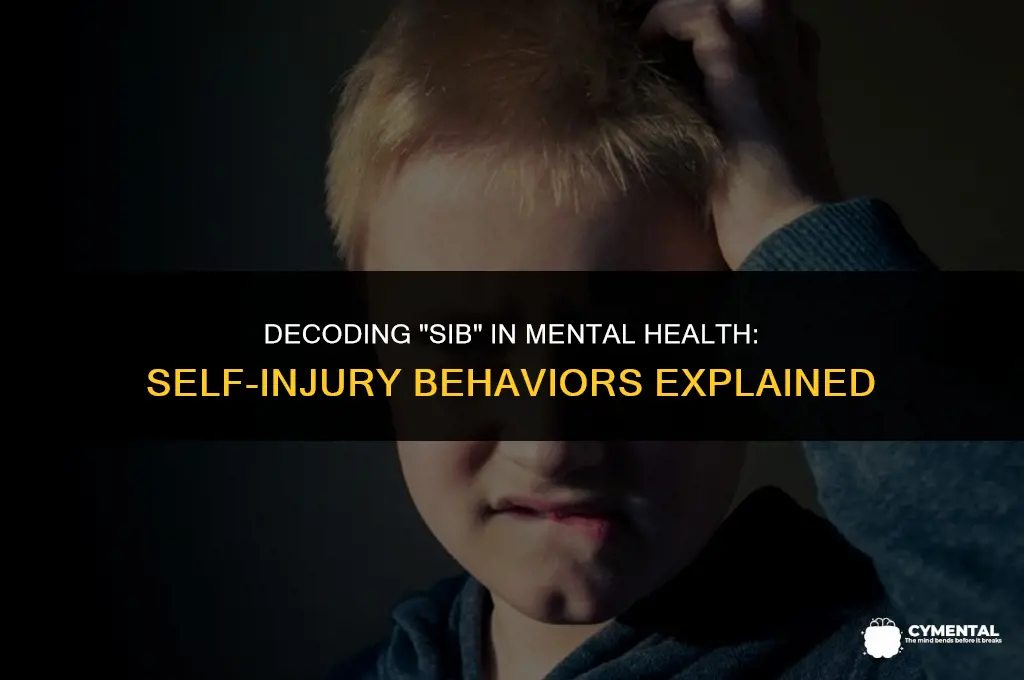 what does sib mean in mental health