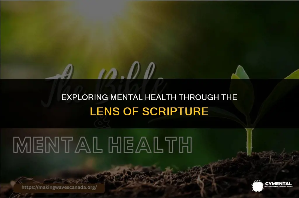 what does the bible say about mental health