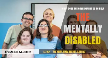 Government Support for Mental Disabilities: Policies, Programs, and Initiatives Explained