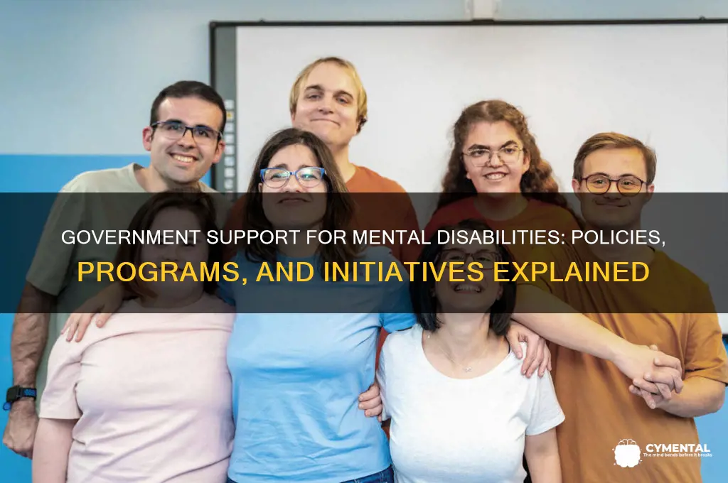 what does the government do to help the mentally disabled