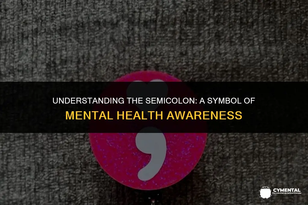 what does the semicolon mean in mental health