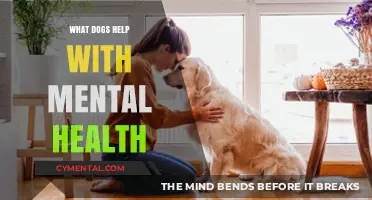 Paws for Peace: How Dogs Support Mental Health and Well-Being