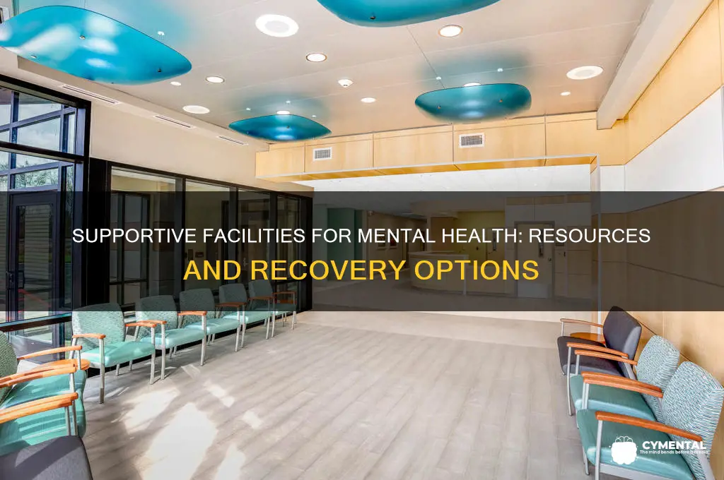 what facilitys help with mental illnes