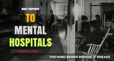 The Evolution of Mental Health Care: What Happened to Mental Hospitals?
