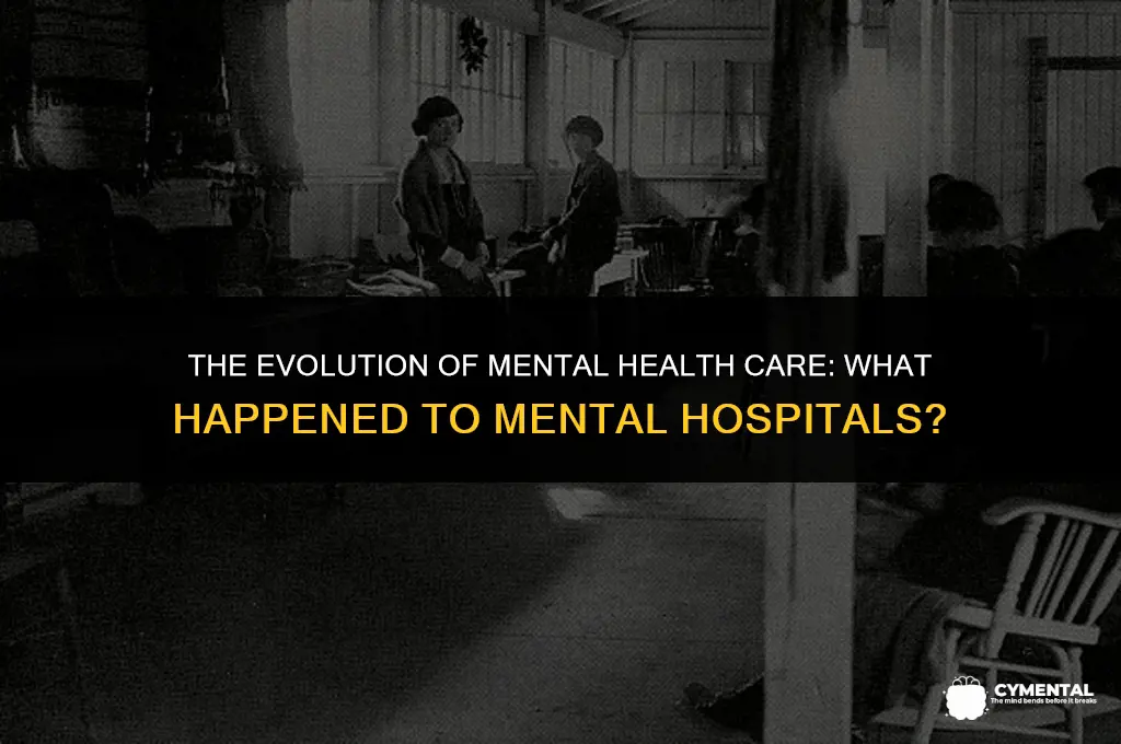 what happened to mental hospitals