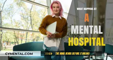Unveiling the Mysteries: A Day in the Life at a Mental Hospital