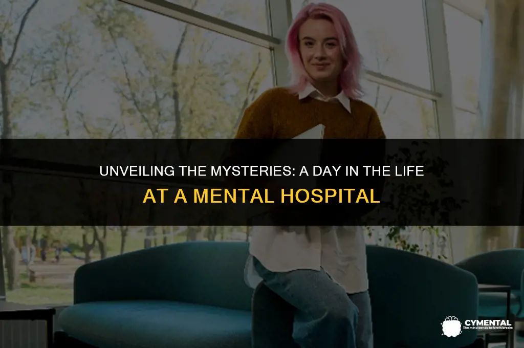 what happens at a mental hospital