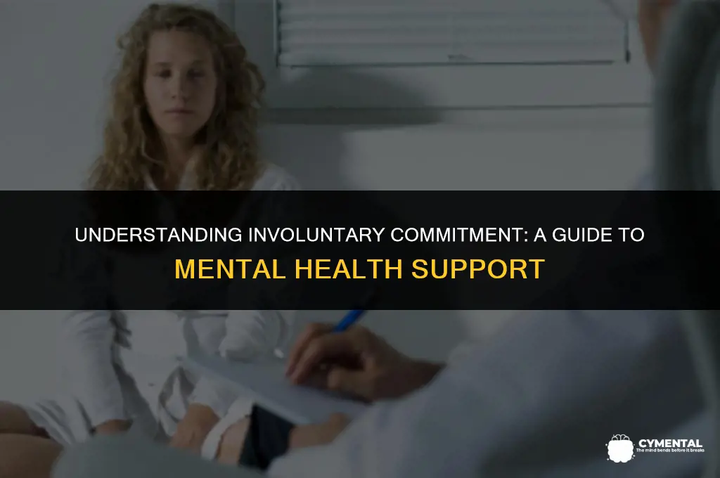 what happens if you commit someone for mental issues