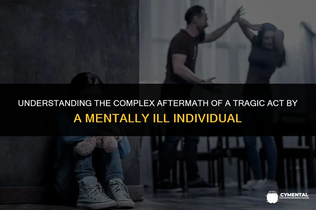 what happens when a mentally ill person kills someone