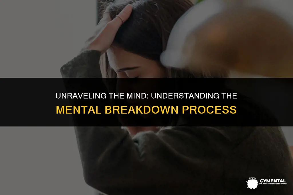 what happens when someone has a mental breakdown