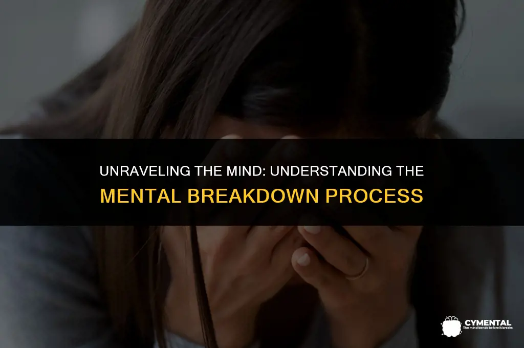 what happens when you have a mental breakdown