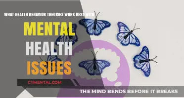Exploring Effective Health Behavior Theories for Mental Health Issues