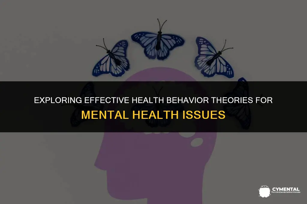 what health behavior theories work best with mental health issues