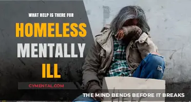 Support for Homeless Individuals with Mental Illness: Resources and Hope