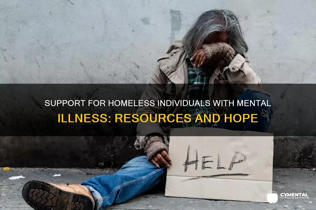 what help is there for homeless mentally ill