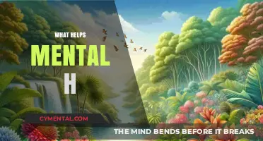 Boosting Mental Health: Effective Strategies for Well-Being and Resilience
