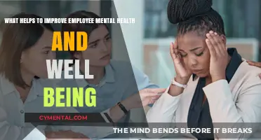 Boosting Employee Mental Health: Strategies for Workplace Well-Being and Success