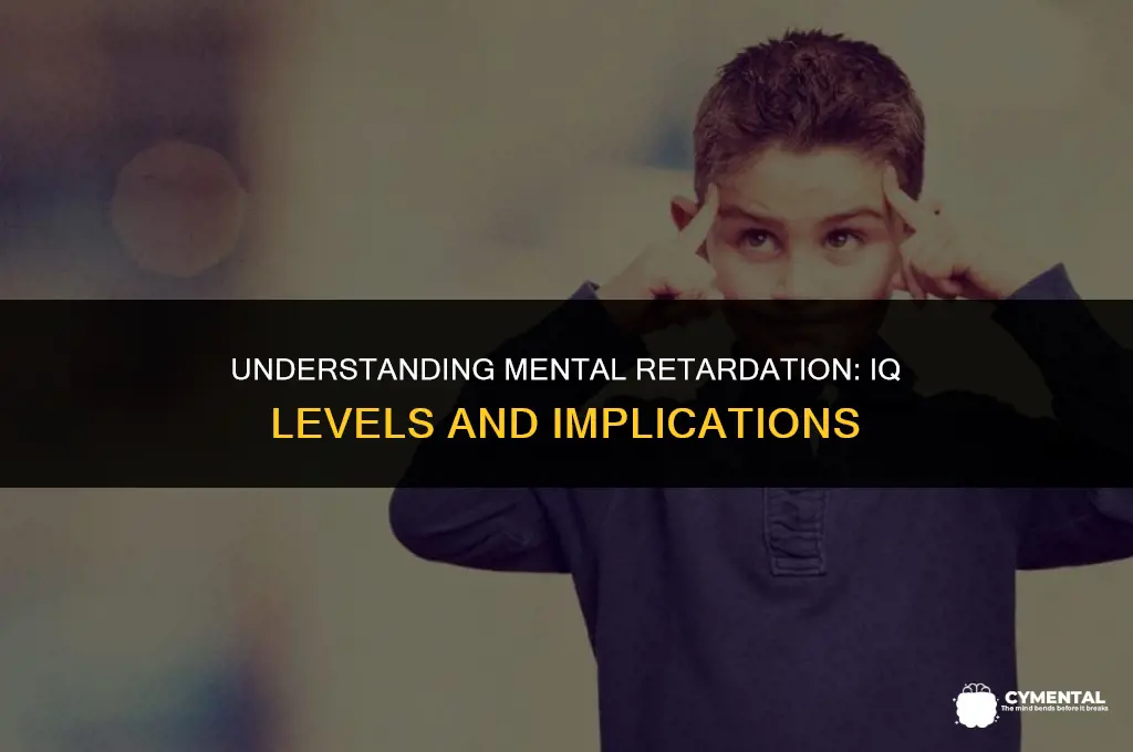 what iq level is considered mental retardation