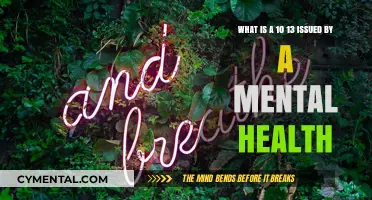 Understanding the 10-13: A Mental Health Professional's Guide