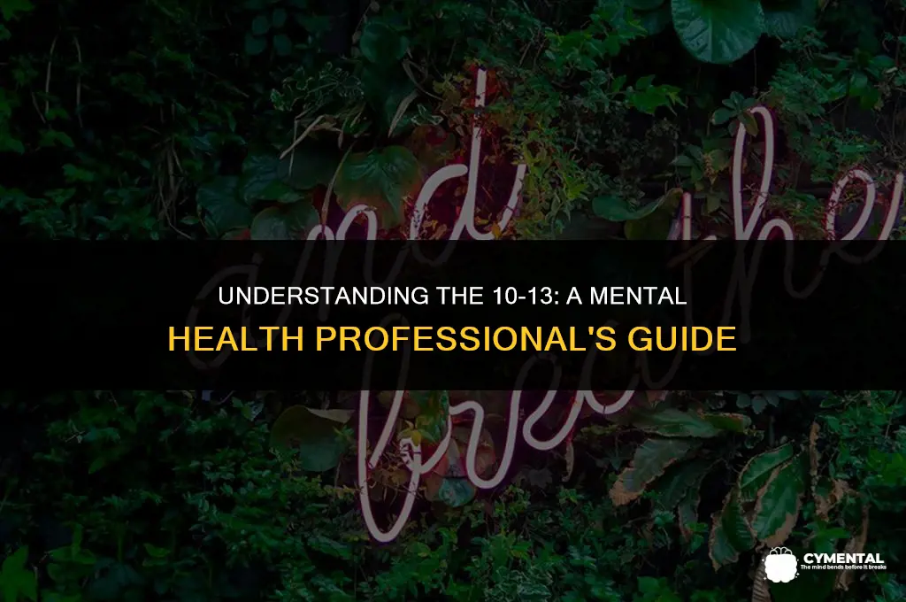 what is a 10 13 issued by a mental health