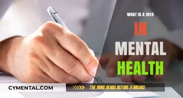 Understanding the 1013 Crisis in Mental Health: A Comprehensive Guide