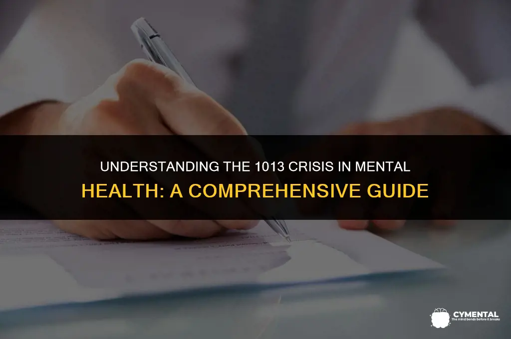 what is a 1013 in mental health