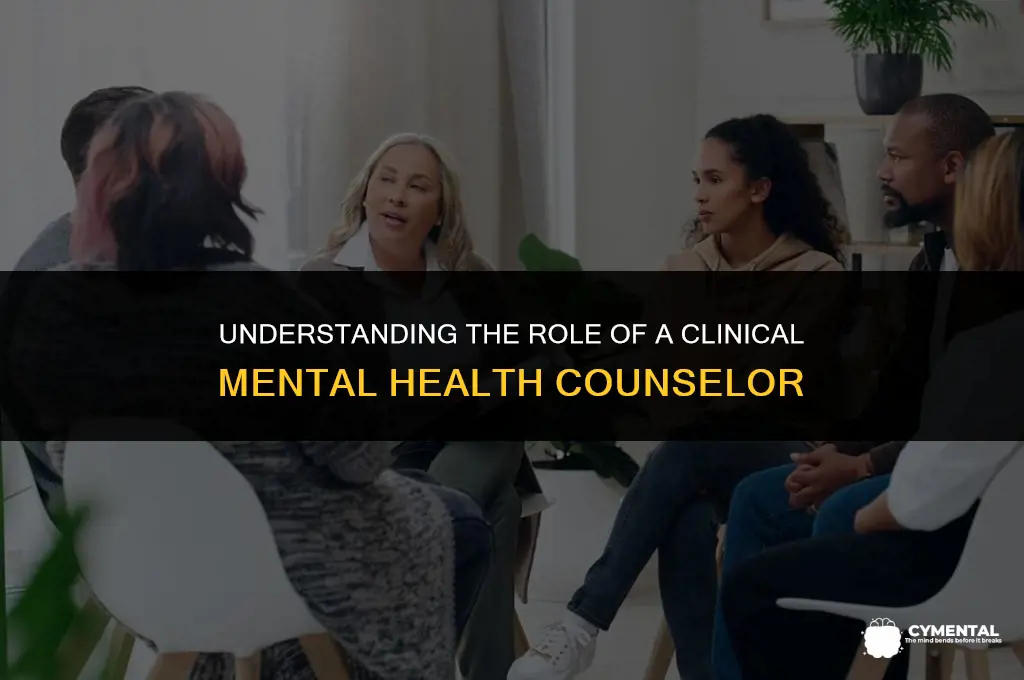what is a clinical mental health counselor