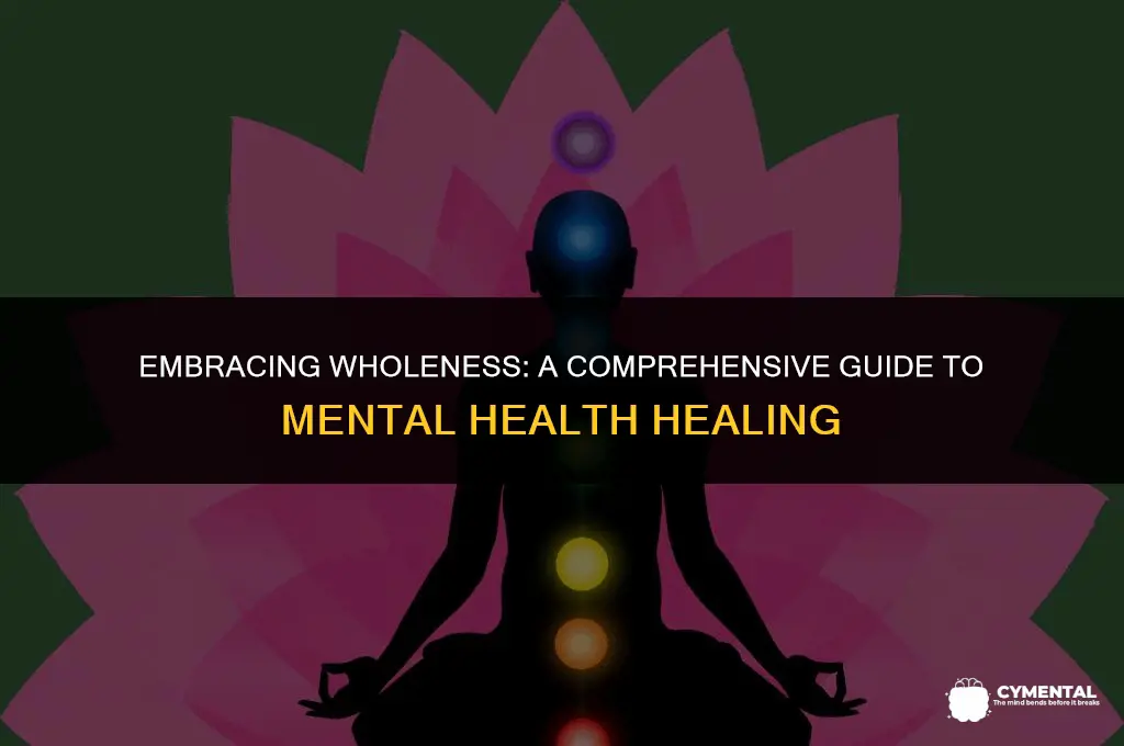 what is a holistic approach to treating mental health issues