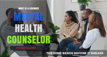 Understanding the Role of a Licensed Mental Health Counselor