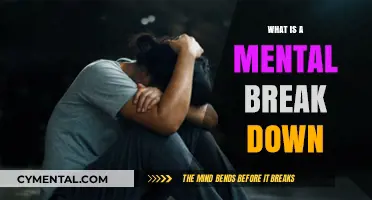 Understanding Mental Breakdown: Signs, Causes, and Recovery Strategies