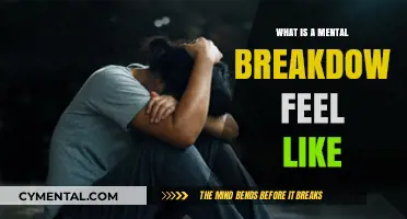 Unraveling the Emotional Storm: What a Mental Breakdown Feels Like