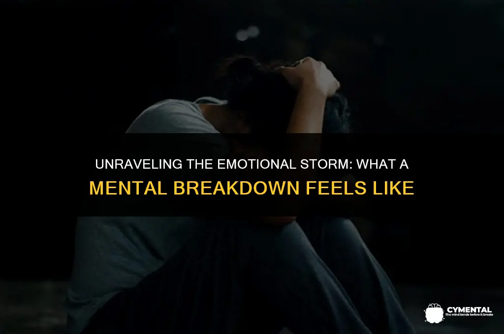 what is a mental breakdown feel like