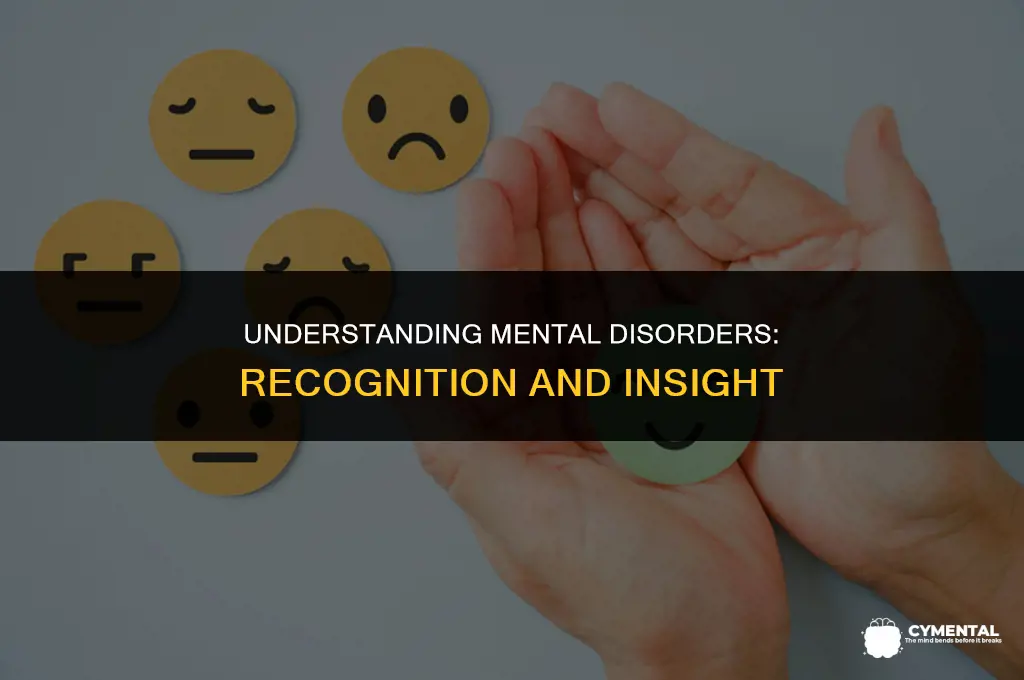 what is a mental disorder how are mental disorders recognized