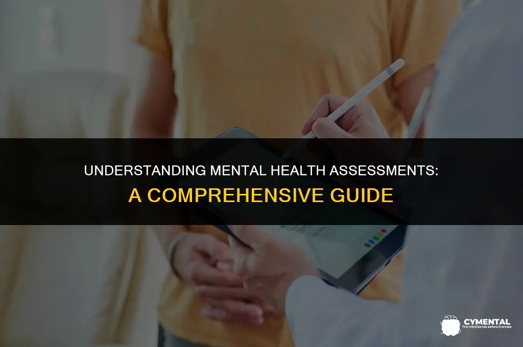 what is a mental health assessment