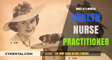 Exploring the Role of a Mental Health Nurse Practitioner