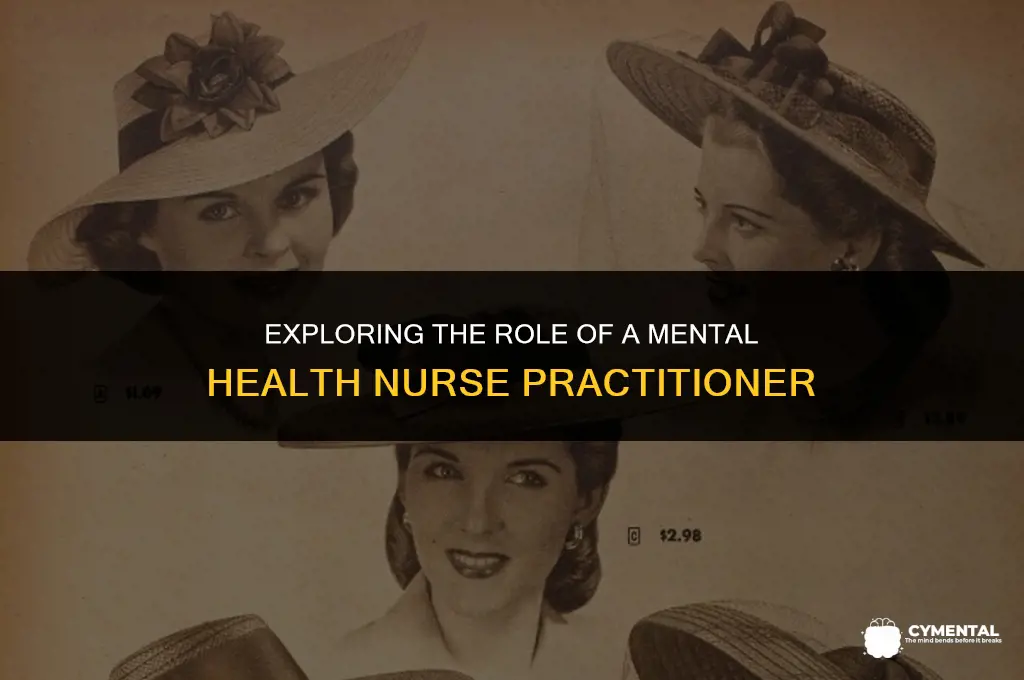 what is a mental health nurse practitioner