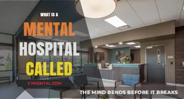 Understanding Mental Health Facilities: What Is a Mental Hospital Called?