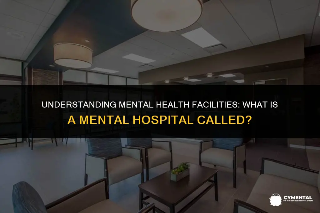 what is a mental hospital called