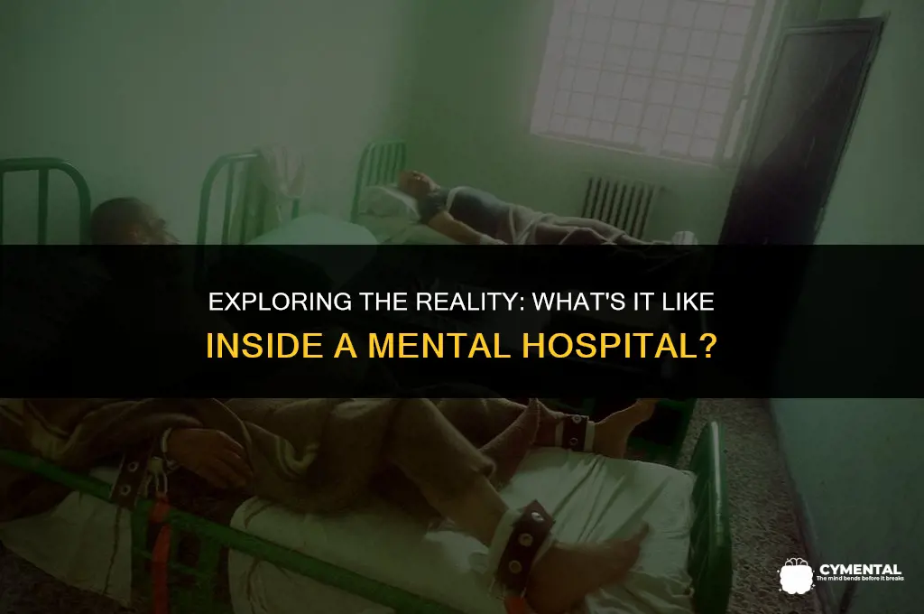 what is a mental hospital like