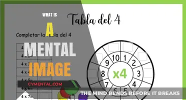 Exploring the Mind's Eye: Understanding Mental Imagery