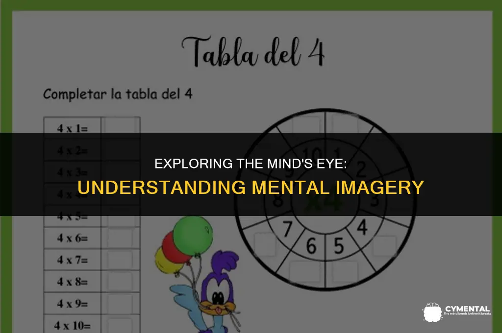 what is a mental image