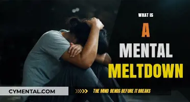 Understanding Mental Meltdowns: Causes, Symptoms, and Coping Strategies
