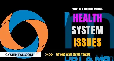 Navigating the Complexities of Modern Mental Health Systems