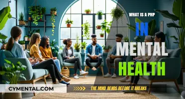 Understanding PHP in Mental Health: A Comprehensive Guide