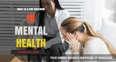 Exploring PHP Programs in Mental Health: A Comprehensive Guide