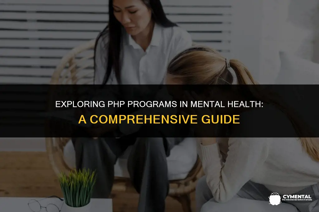 what is a php program in mental health