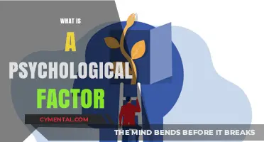 Unveiling the Mind: Understanding Psychological Factors in Everyday Life