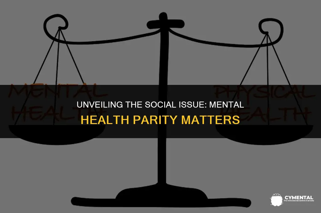 what is a social issue for mental health parity