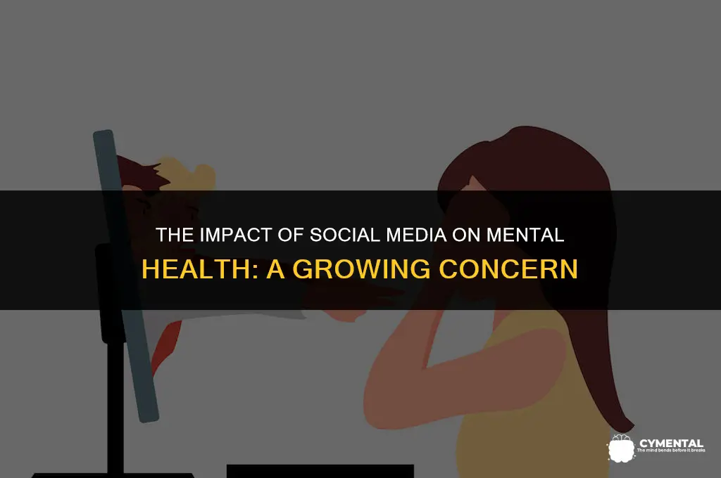 what is a social issue that detracts from mental health