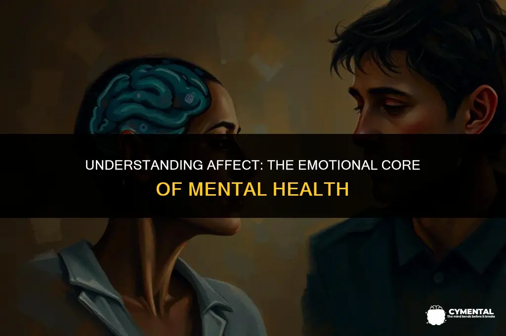 what is affect in mental health